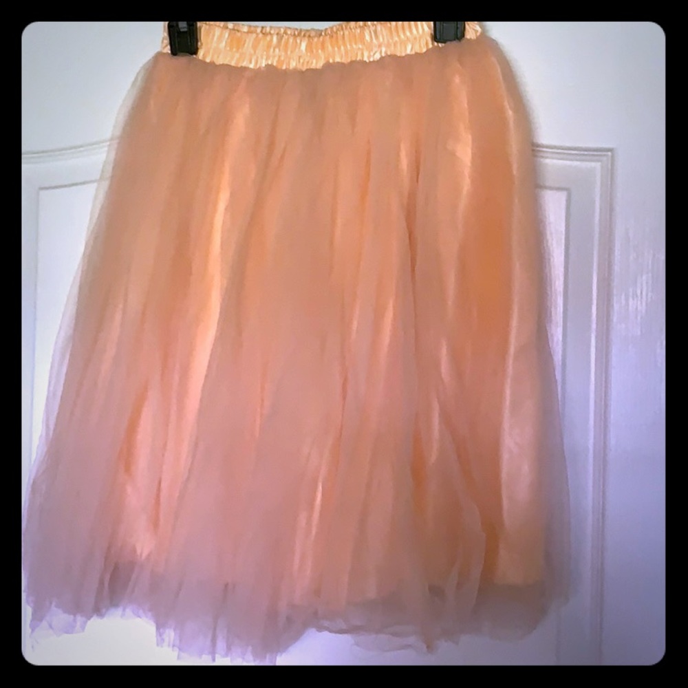 Tulle ballet skirt stretch waistband
